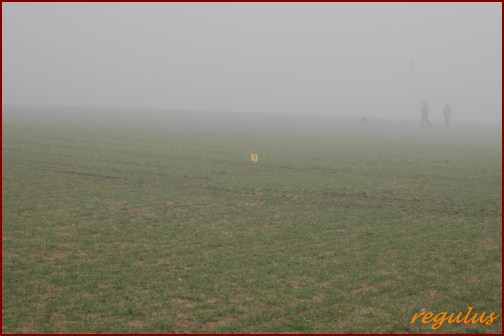 Nordseecup 2011